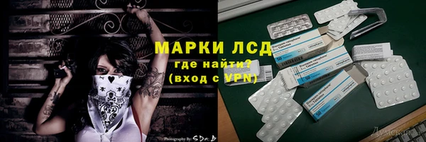 гашик Гусев