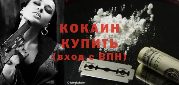 гашик Гусев