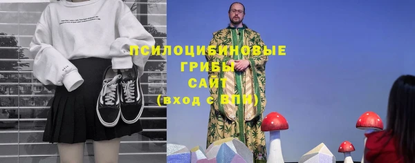гашик Гусев