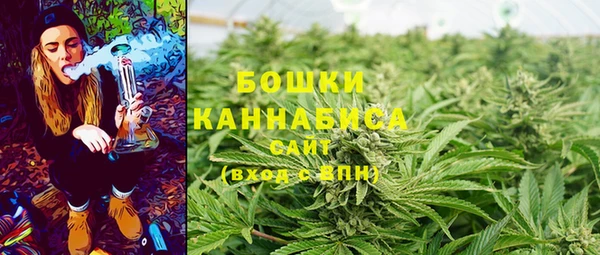 гашик Гусев
