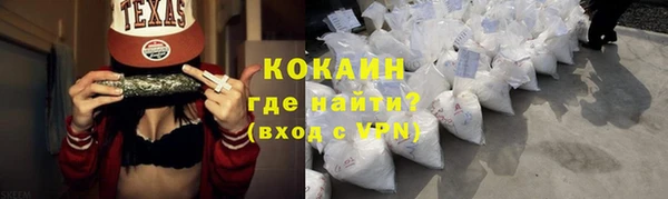 гашик Гусев
