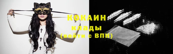 гашик Гусев