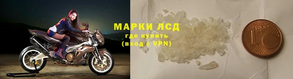 гашик Гусев