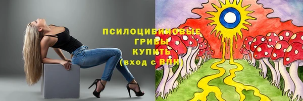 гашик Гусев