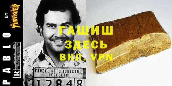 гашик Гусев