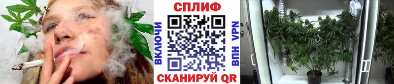 Бошки Шишки OG Kush  Купить где  Краснокаменск 